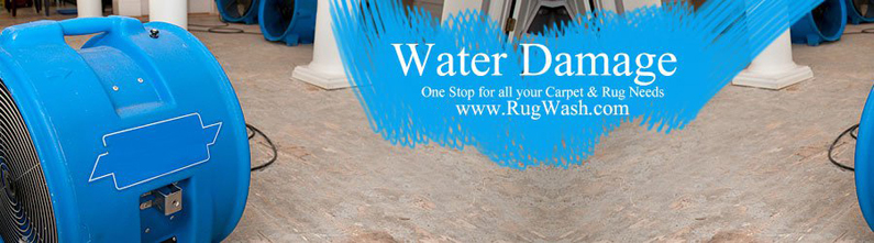 Water and Fire Restoration