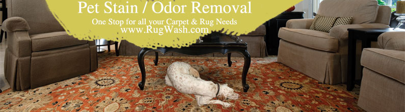 Pet Stain and Odor Removal